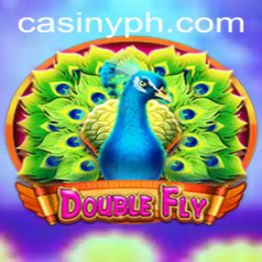 DoubleFly: A Comprehensive Guide to the Innovative Game